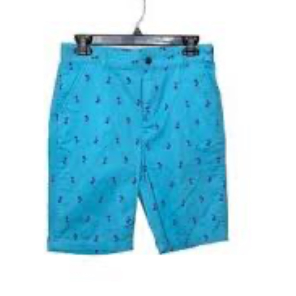 Blue Shorts with Embroidered Design